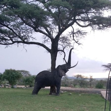 Seronera Wildlife Lodge Serengeti Bagian luar foto