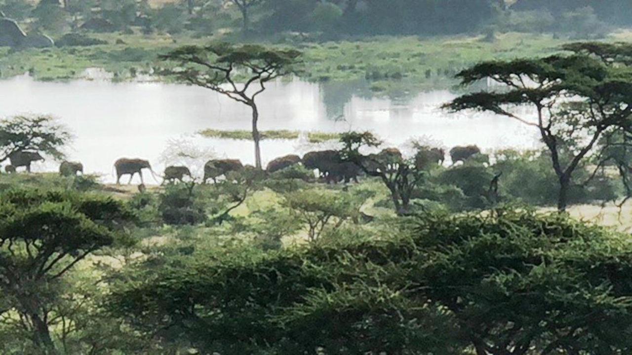 Seronera Wildlife Lodge Serengeti Bagian luar foto